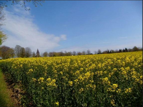 Ferienwohnung Boldt Rullschau ภายนอก รูปภาพ
